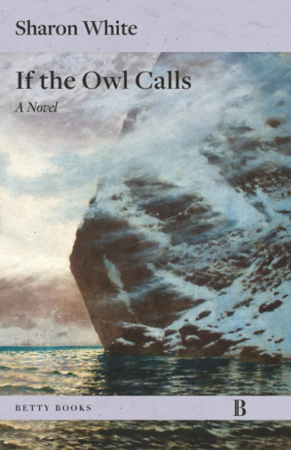 Book cover features a large, snowy, rocky structure, in a large bed of water, and a gray sky in the background