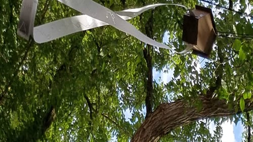 Phyllis Chen’s ‘Floating Verses’ filled the trees with music. (Photo by Linda Holt.)