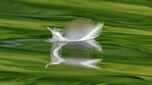 Photography by Kevin Bennett will be on sale. Image courtesy of MAAG.