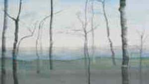 'Start of Spring': A new approach to landscapes.