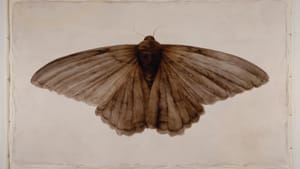 Kate Javens, “Named for Martha Ballard.” 2005. Oil on theater muslin, 64x106". (Flying beyond limitations.)