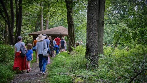 Midsummer audience BSR 7 15 25