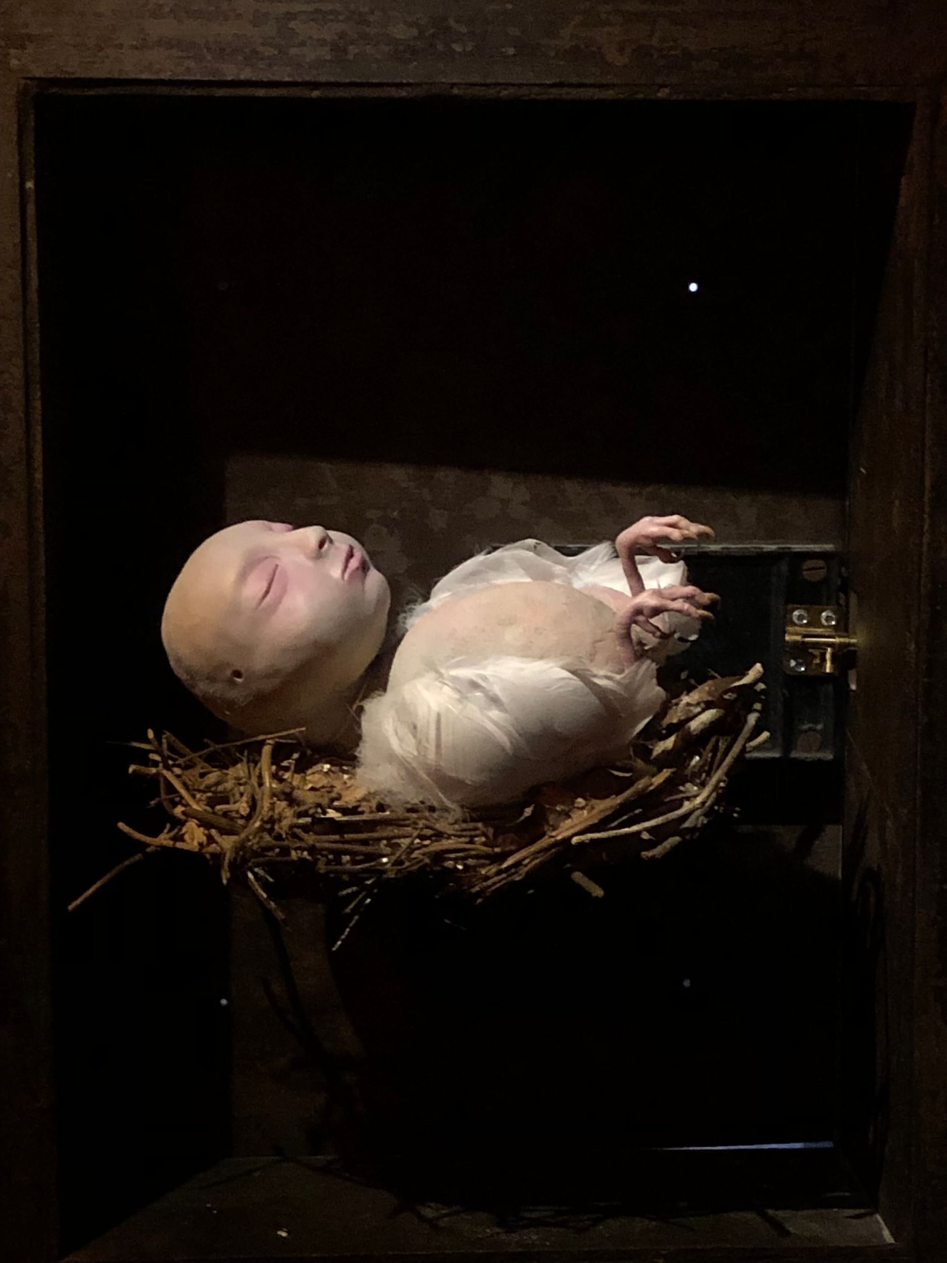 A round bird with white feather wings, pale human flesh, and a sleeping baby’s head lies belly-up in a nest.