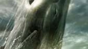 Unlike Moby Dick (above), the real drama in whale watching, as in life, lies beneath the surface.