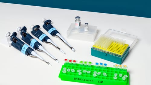 Three blue pipettes next to small green and yellow trays of tiny vials, and a pair of small glass vaccine dose bottles