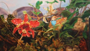 Ficarelli-Halpern's 'Orchid and Hummingbird': Magical realism.