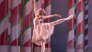 Pennsylvania Ballet Principal Dancer Sara Michelle Murawski. (Photo by Alexander Iziliaev)