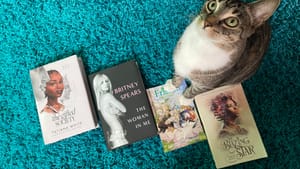 Four books are arranged on a blue shaggy carpet with a cat looking up towards camera
