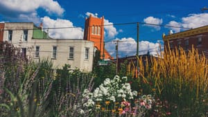 Passyunk Ave street sign, centered at a distance. A bed of colorful flowers in the foreground—buildings, blue sky in backdrop