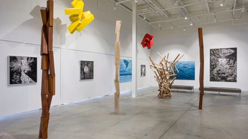 Six large wood sculptures stand or hang in space and six large-scale 2D artworks are displayed on the white walls