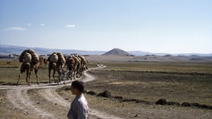 Camels travel a dirt path at the site of Gordion in central Turkey. Prominent in the distance is Tumulus MM, the burial mound of a Phrygian ruler who was probably father to King Midas. (Photo: 1958, Penn Museum Gordion Archive, G-3312)