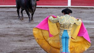 What does a bullfighter's prayer sound like? (Photo by Tomas Castelazo via Wikimedia Commons.)