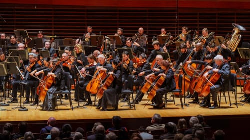 View of about half the orchestra players during the concert, cellos in front and then woodwinds and horns upstage.
