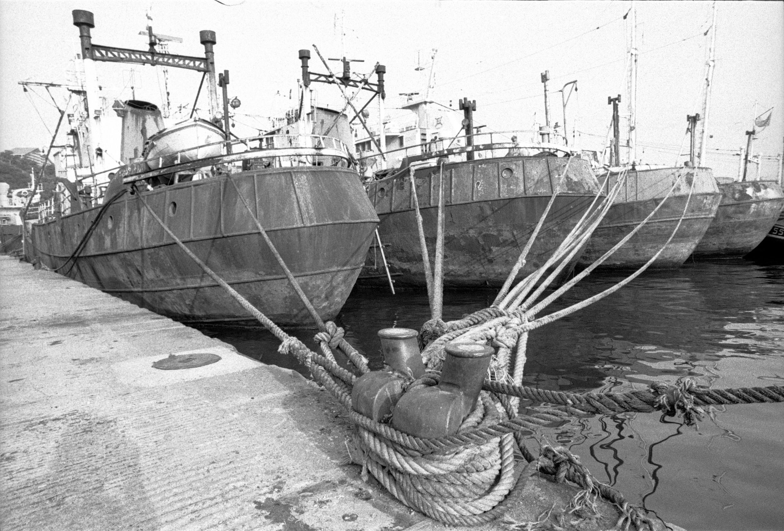 Black & white photo of 4 large boats in the harbor, thick ropes all attached to one giant cleat on the cement dock.