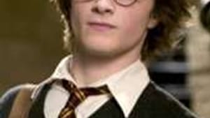 20 publishers rejected Harry Potter for fear that his story wouldn't sell.