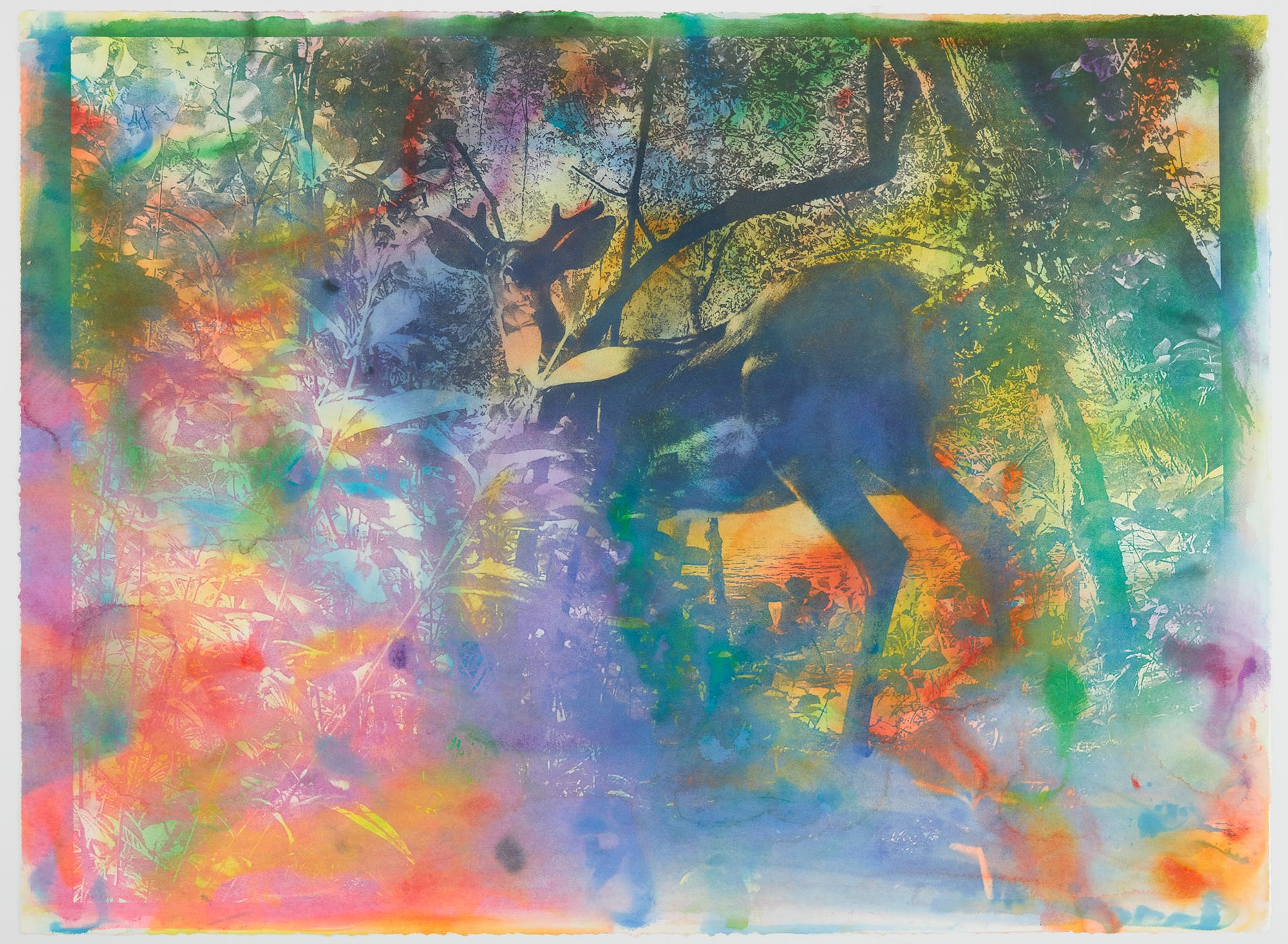 Photo of a young buck looking back through heavy foliage, overlaid with psychedelic patches of bright colors.
