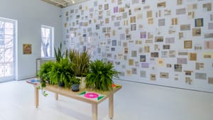 A view of the gallery: bright white room with windows and plants on a center table. Dozens of news clippings on the wall.