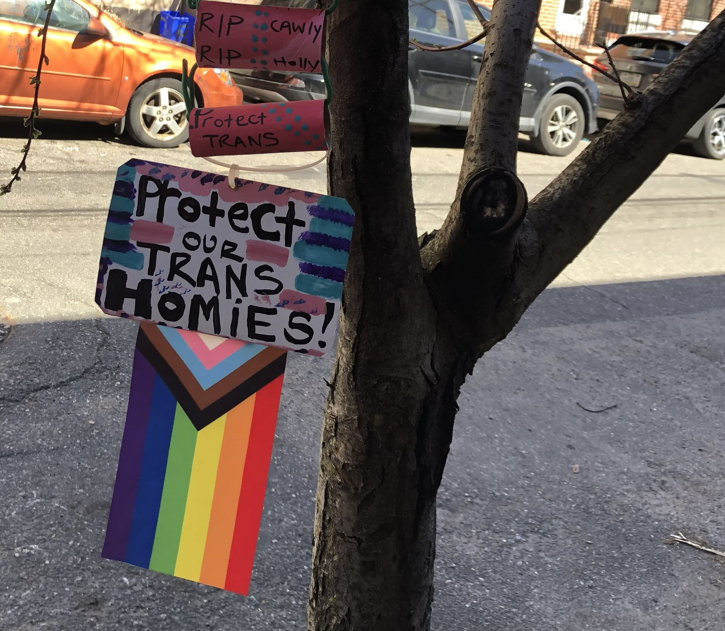 Protect our trans homies jpg