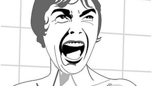 There's more to Janet Leigh's 'Psycho' character than that scream. (Image by Alvaro Tapia via Creative Commons/Flickr)