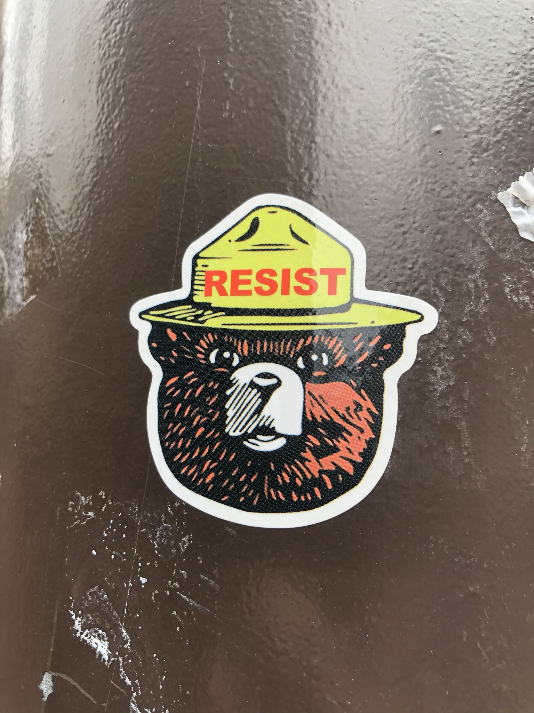 Resist bear jpg