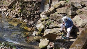 Phillips records audio by a body of streaming water, standing on a bed of rocks, daylight cascading over the area.