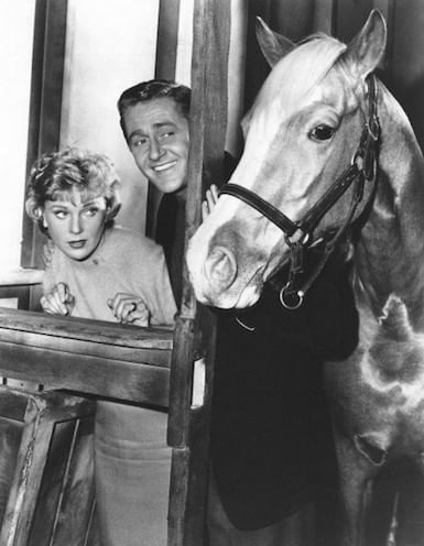 Mr. Ed also had some of the best words, but even he never called himself a "stable genius."