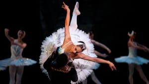 Daniel Sarabia and Patricia Delgado perform a Swan Lake pas de deux at Miami City Ballet. (Image courtesy of Wikimedia Commons.)