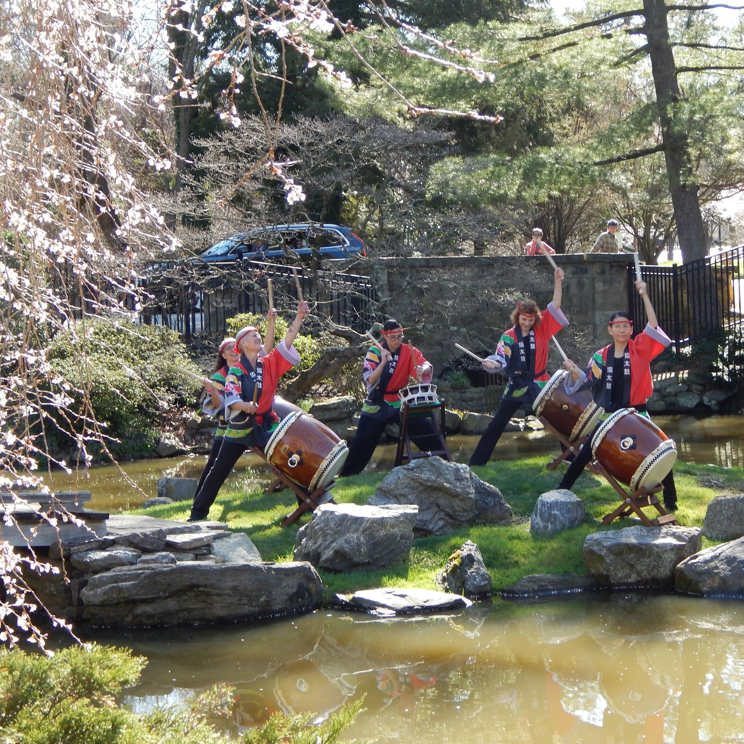 Taiko drummers perform at last year's Cherry Blossom Festival. (Photo courtesy of JASGP.)
