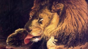 'Lion Licking Its Paw' (1886): Nature up close.