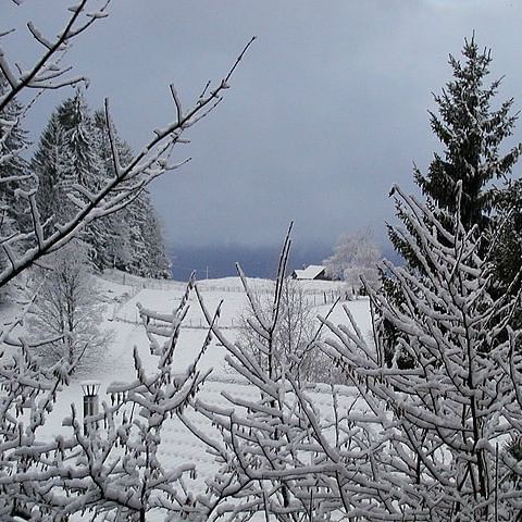 Tempesta di Mare celebrates winter in music. (Image via Wikimedia Commons)