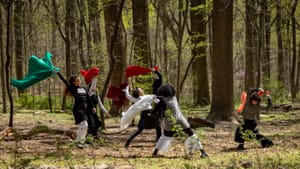 Five women in mostly black and white clothing, wave colored silks in a forested area in daylight in dance