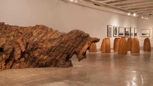 At foreground, the open mouth of 'Droga'; in background, 'Untitled (nine cones)' and 'Untitled,' works on paper. (Photo by Carlos Avendaño.)