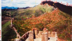 Tin Wei Lin's 'Eastern Interior' (2010): Somewhere between photography and drawing.