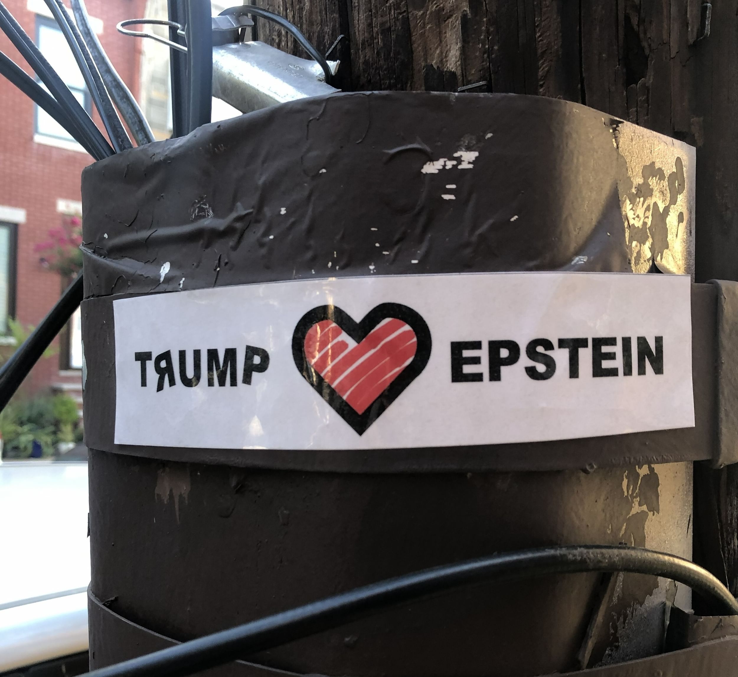Trump loves Epstein jpg