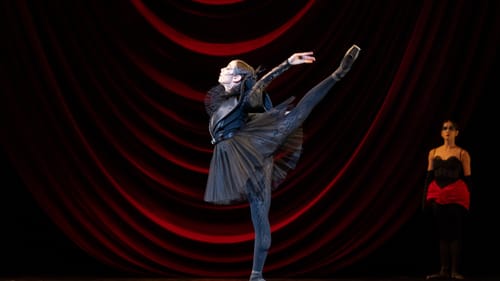 Golz, in a spooky, fantastical black tulle tutu and lace stockings, poses en pointe in profile, one leg extended behind her.