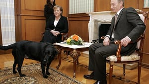 Angela froze, Vladimir smirked. (Photo: Wikipedia.)