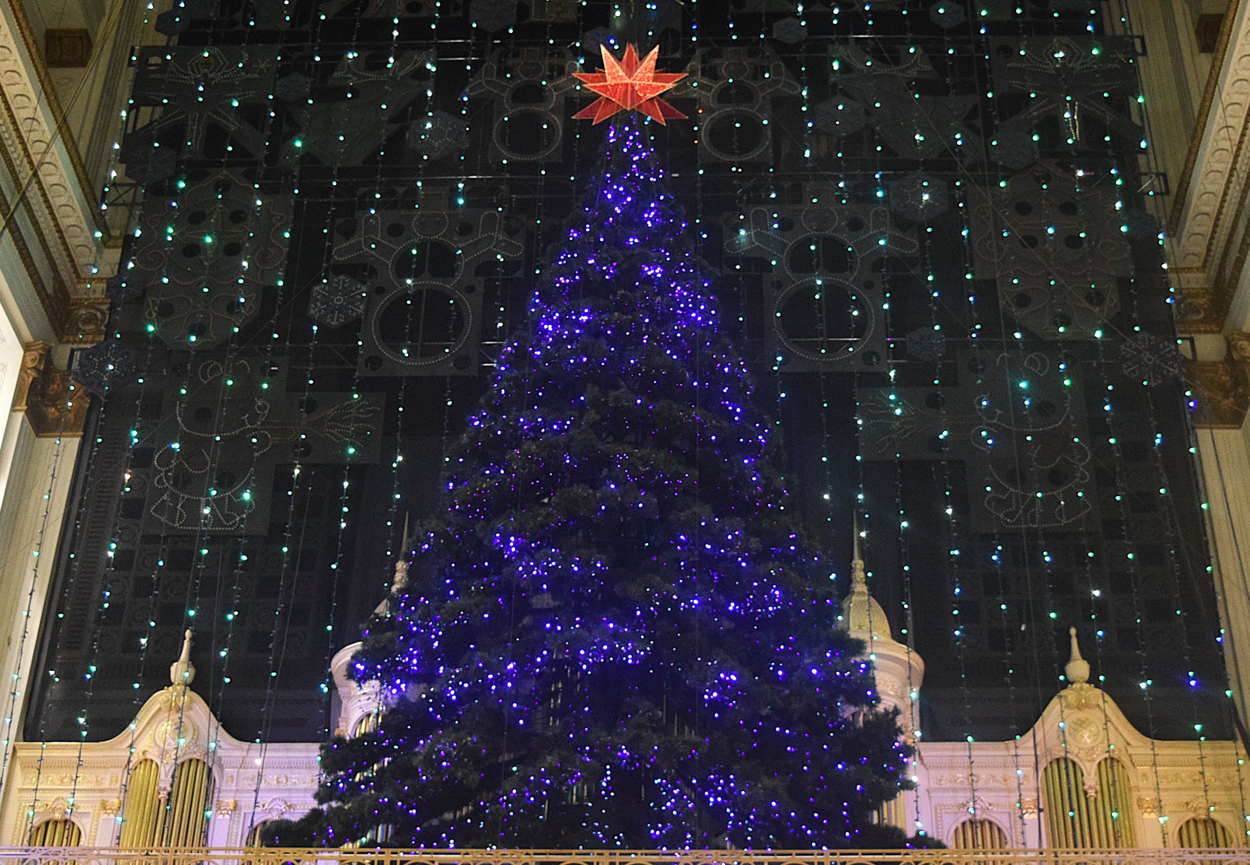 View from below of the giant Christmas tree, decked in blue lights, above the massive Wanamaker Organ.