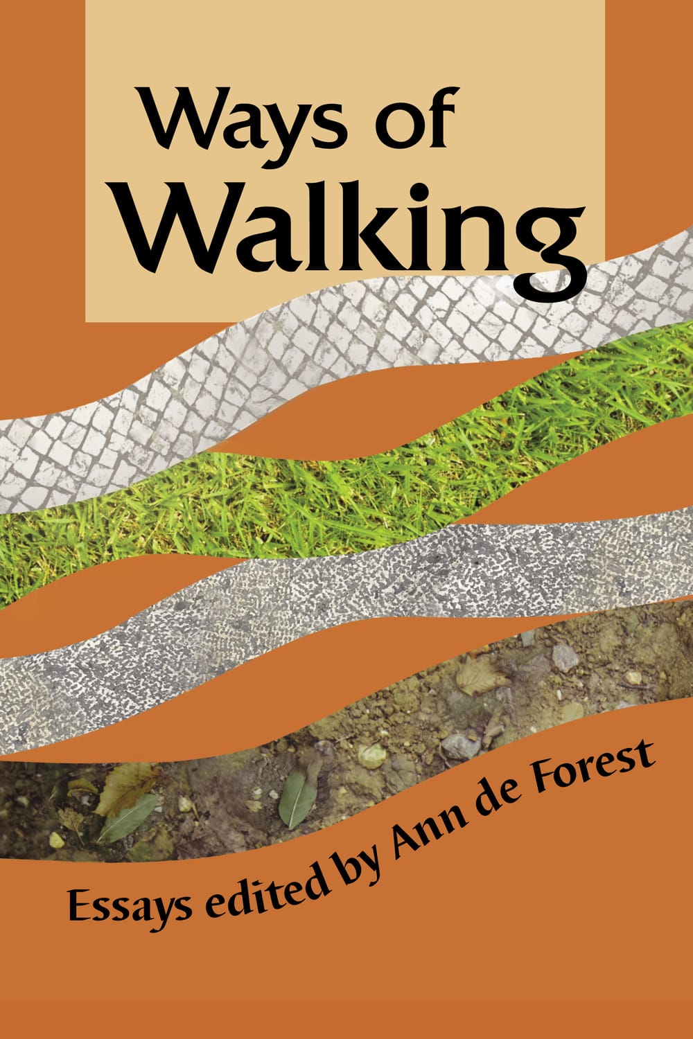 The book cover. The title on an orange background, with slender images of mosaic, grass, cement, and dirt winding beneath.