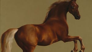 "Whistlejacket" by George Stubbs, 1762