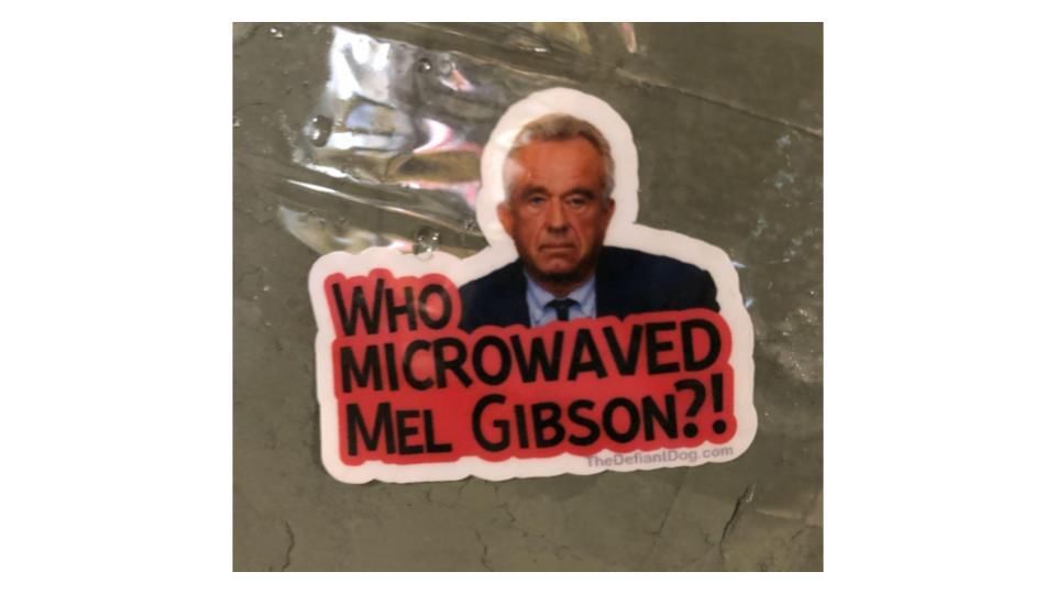 Who microwaved Mel Gibson slide