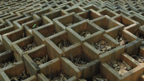 In <em>Welcome Home</em> (2013), Vaughn Bell’s installation underscores neglect of the home we all share.