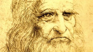 Da vinci profile