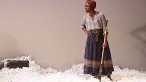 Cotton fields, 21st-century style. (Photo by Gerry Goodstein)