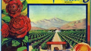 The orange groves of Duarte were gone by the time the events of "True West" take place.