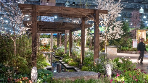 A large wooden arbor over a stone-edged pond draws the eye into a naturalistic garden with lots of greens.