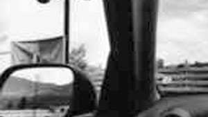 'Photographing with the eye of the car itself.'
