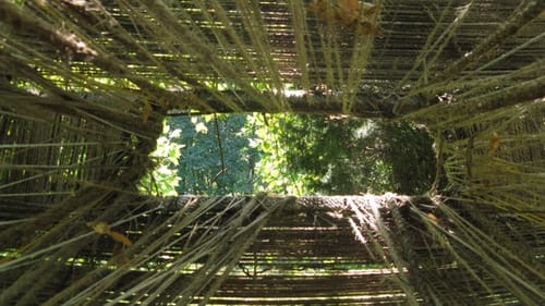 In <em>Welcome Home</em> (2013), Vaughn Bell’s installation underscores neglect of the home we all share.