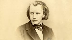 A handsome young man: Johannes Brahms