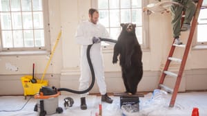 Redistributing the space with taxidermy. (Photo by Kate Rains)