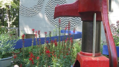In <em>Welcome Home</em> (2013), Vaughn Bell’s installation underscores neglect of the home we all share.
